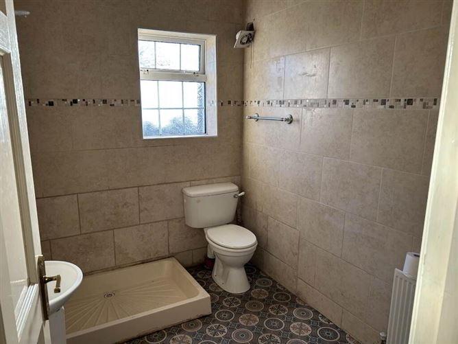 Castle Avenue, Derrin, Borris In Ossory, Laois, historical listing image 6