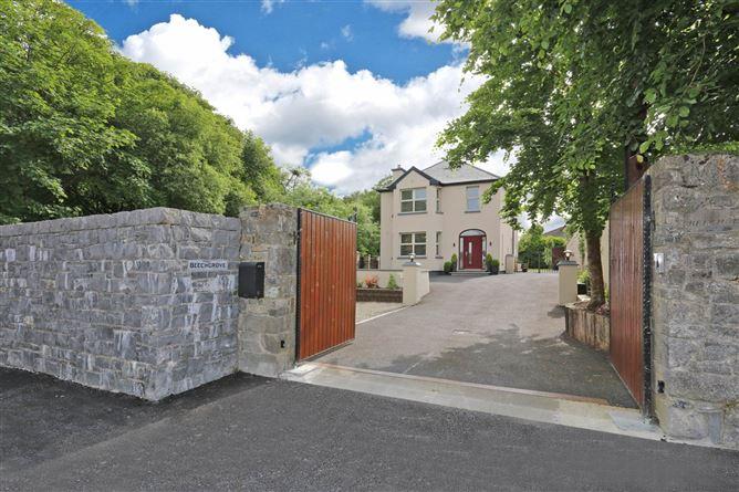 Beechgrove, Mill Road, Corbally, Limerick, historical listing image 2