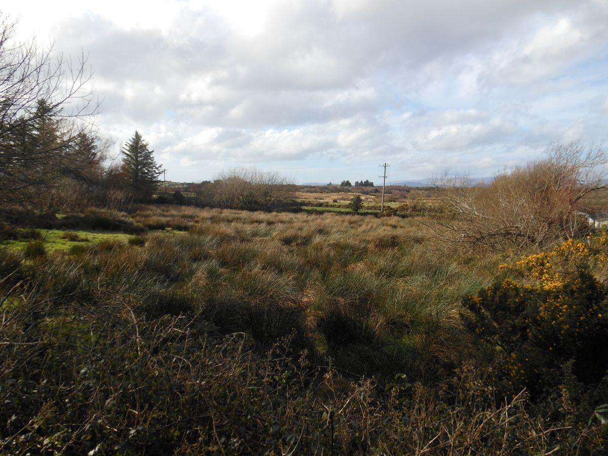 Ballycleave, Glenbeigh, Co. Kerry, historical listing image 2