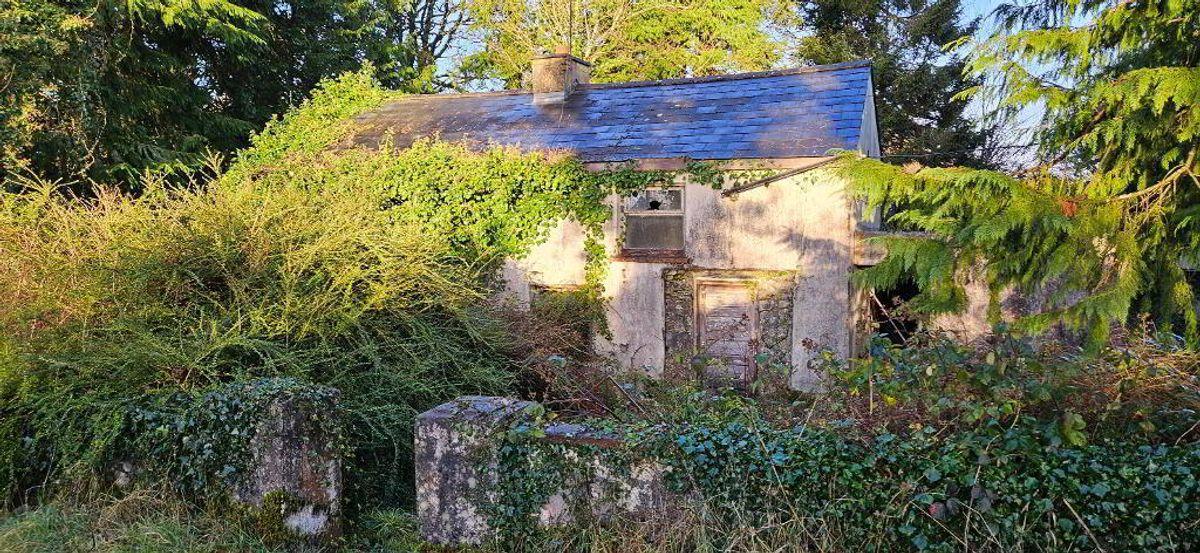 Finnor, Croghan, Co. Roscommon, F52F985, historical listing image 2