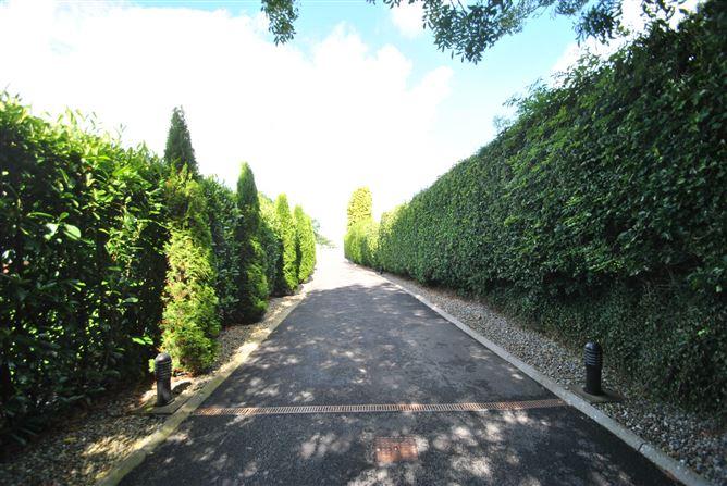Ballygorteen, Roscrea/Templemore, Co. Tipperary, historical listing image 3