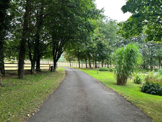 Maple Lodge, Kilcullen, Thomastown, Kilkenny, historical listing image 3