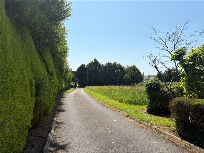 Ballycannon, Croagh, Co. Limerick, historical listing image 3