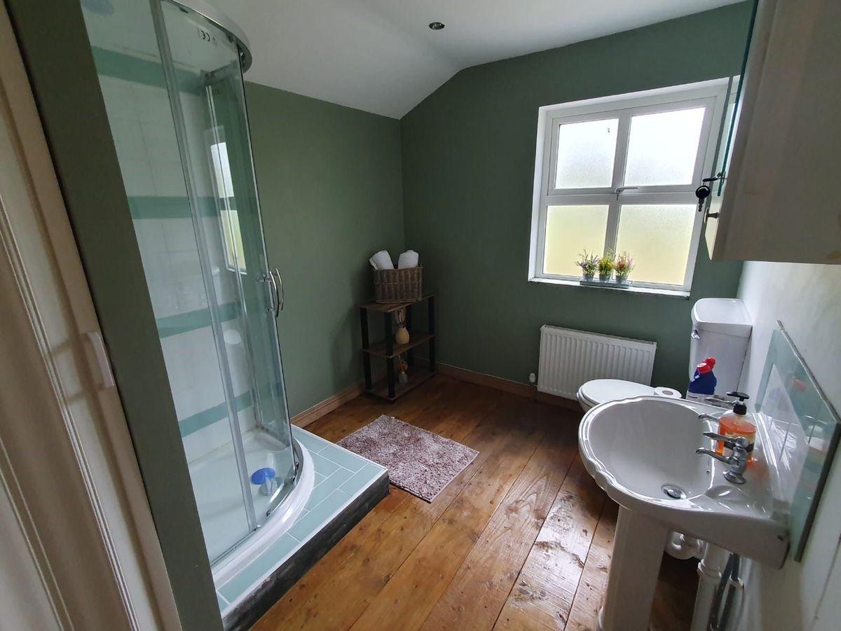 Drumany, Fenagh, Keshcarrigan, Co. Leitrim, N41RC67, historical listing image 6