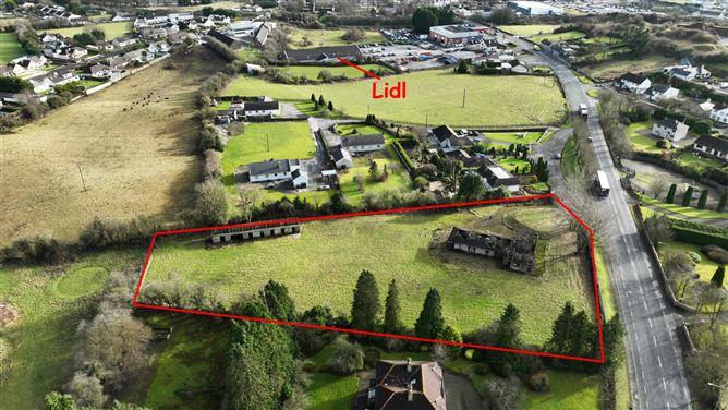Birr Road, Roscrea, Co. Tipperary, historical listing image 1