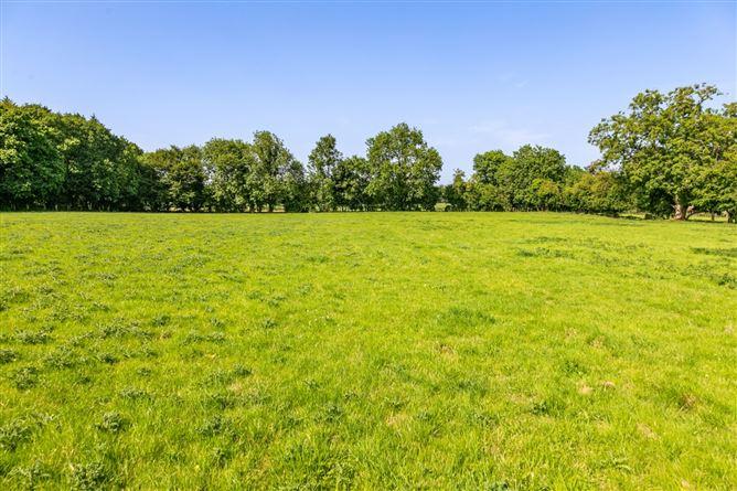 Lot 3 - Gatekeeper's Cottage, Lisnavagh, Rathvilly, Carlow, historical listing image 4