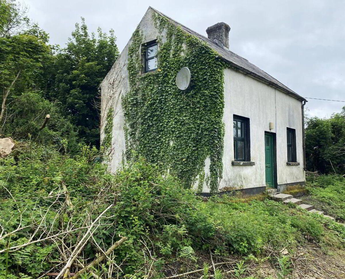 Tinnaclash, Kiltegan, Co. Wicklow, W91ARW1, historical listing image 2