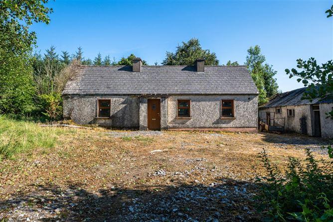 Derrylow, Boyle, Co. Roscommon, RN3682F (For ID), historical listing image 3