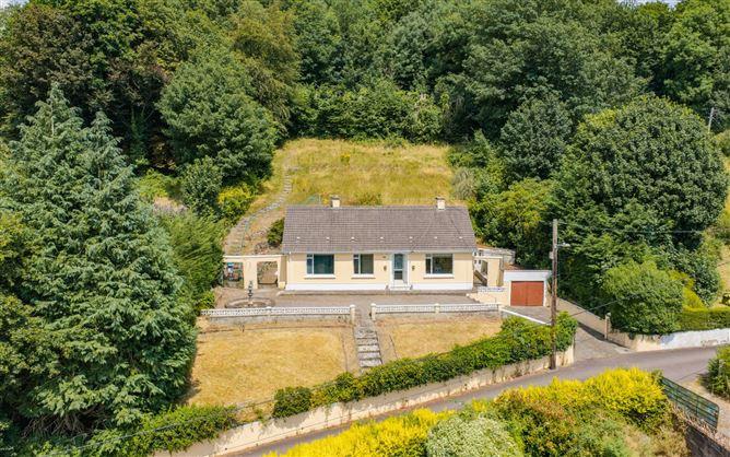 Tulligmore, Hollymount, Lee Road, City Centre Nth, Cork City, historical listing image 3