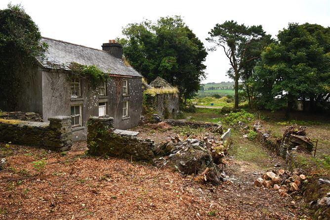 Tobins, Shepperton, Skibbereen, Cork, historical listing image 3