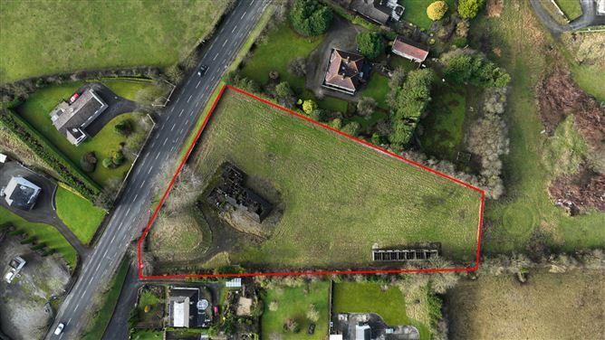 Birr Road, Roscrea, Co. Tipperary, historical listing image 3