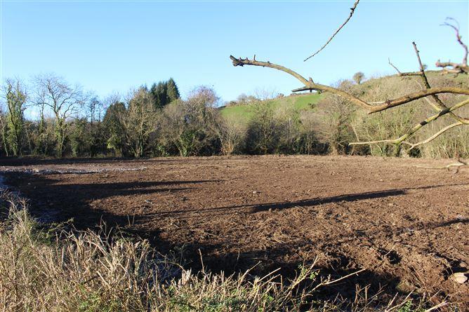 Beal na Blath, Crookstown, Cork, historical listing image 1