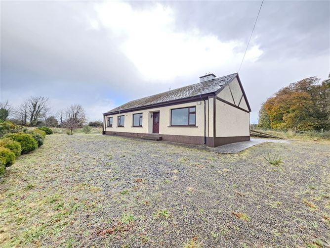 Thornvale, Toomevara, Co. Tipperary, historical listing image 2