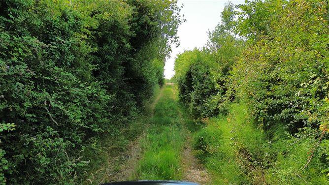 Ballyoughna, Ballygarrett, Co. Wexford, historical listing image 2
