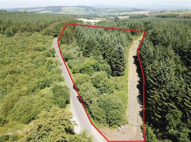 Forestry Land At Smithstown, Mullinavat, Co. Kilkenny, historical listing image 3