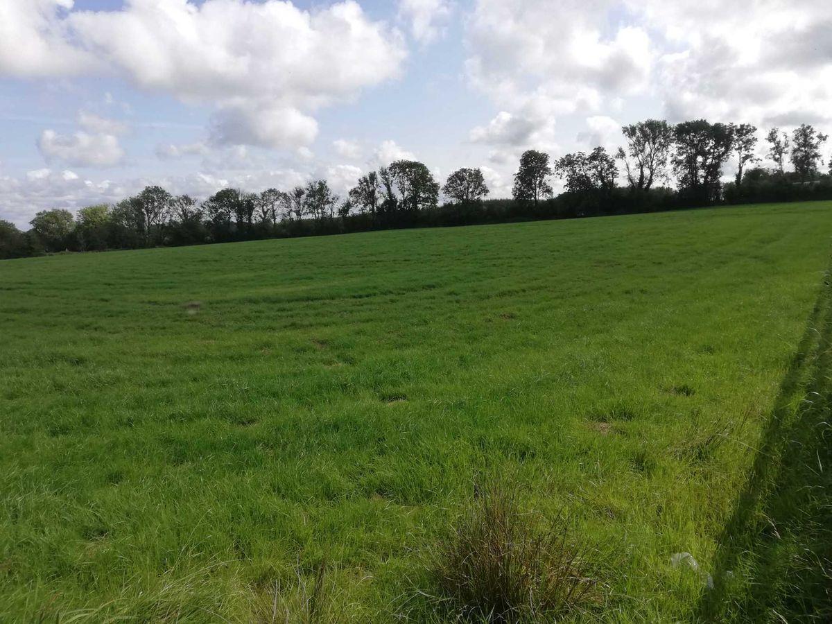 Banada, Ballaghaderreen, Co. Roscommon, historical listing image 5