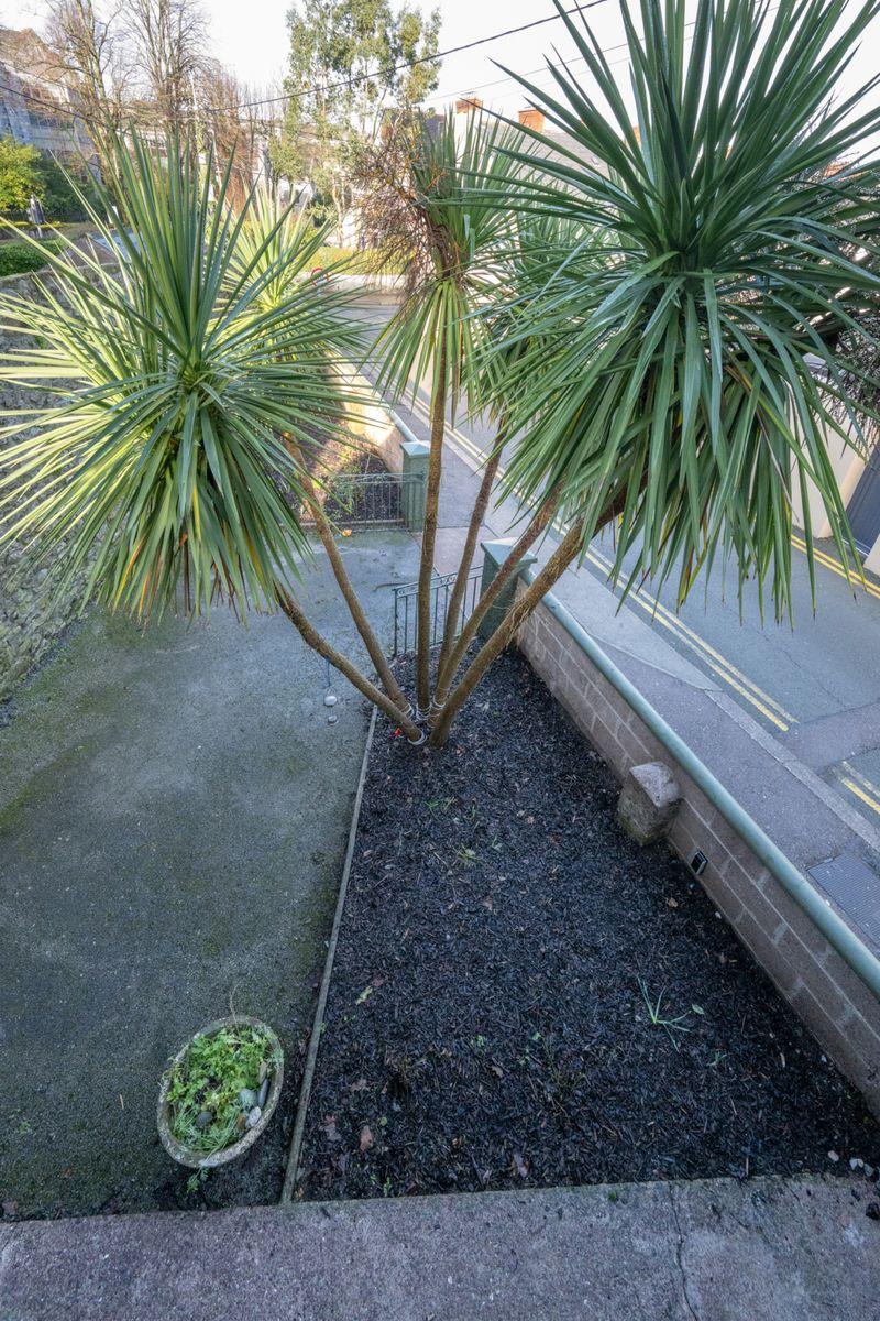 30 Wycherley Terrace,, College Road,, Cork, T12HDR1, historical listing image 6