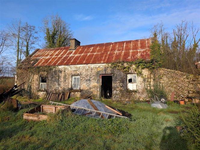 Drumshangore, Carrigallen, Leitrim, historical listing image 2
