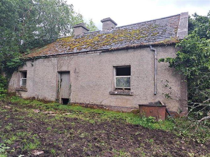 Tullynascreen, Dromahair, Leitrim, historical listing image 4