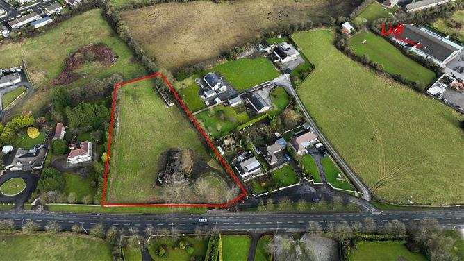 Birr Road, Roscrea, Co. Tipperary, historical listing image 4