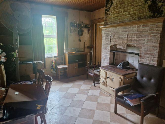 Drumshannon, Newbliss, Monaghan, historical listing image 2