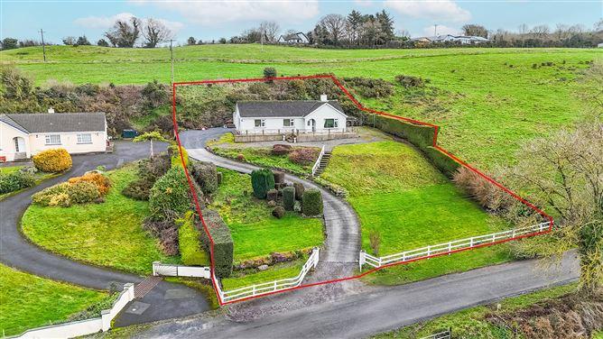 Carrickmourne, Thomastown, Co. Kilkenny, historical listing image 2