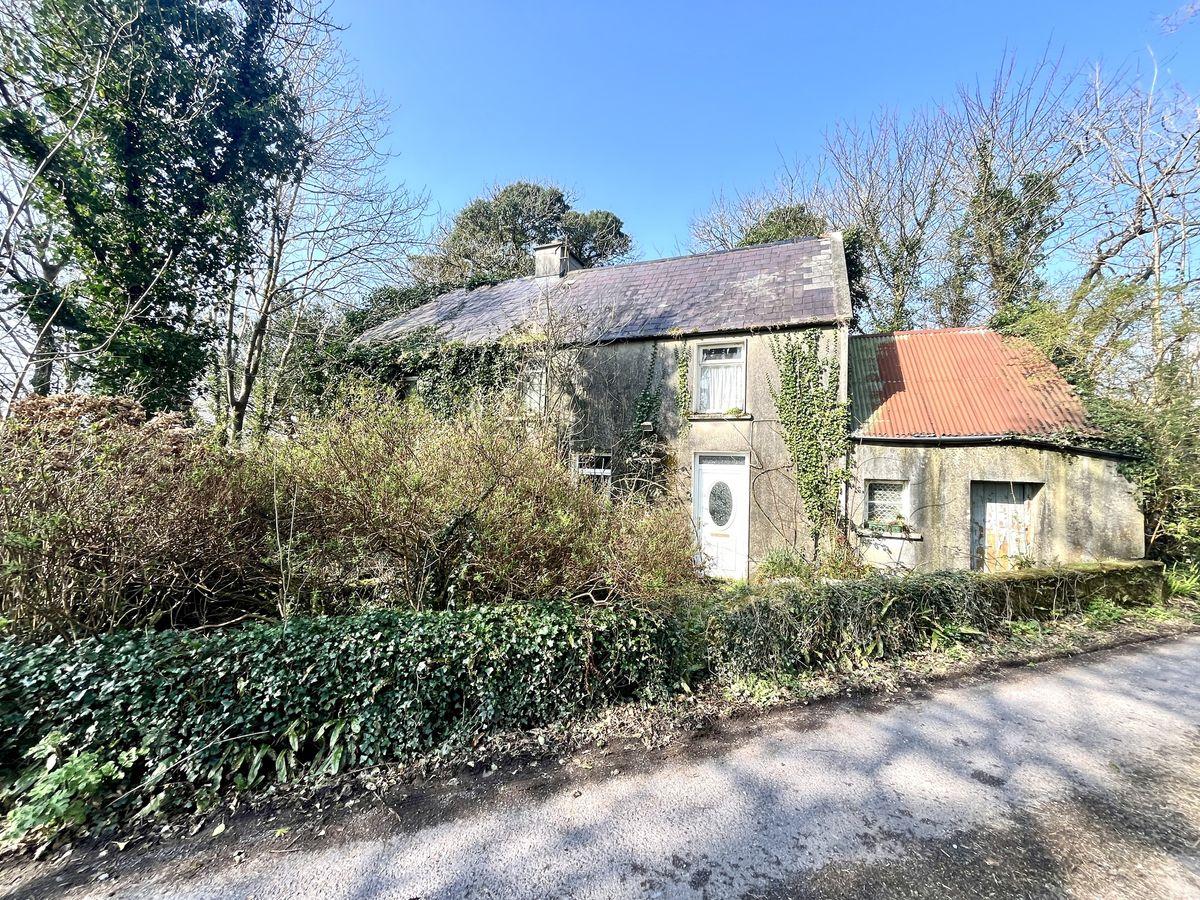 Ballyandreen, Annascaul, Anascaul, Co. Kerry, V92D864, historical listing image 2