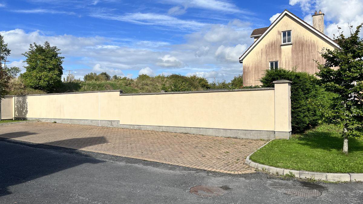 58 Dúnán, Thomastown, Co. Kilkenny, historical listing image 4
