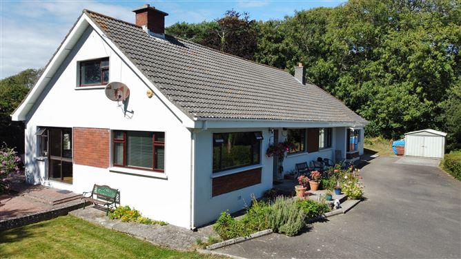 Dromina, Woodstown, Waterford, historical listing image 5