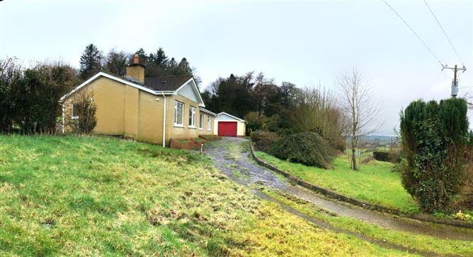 Ballyhubbock, Baltinglass, Wicklow, historical listing image 3