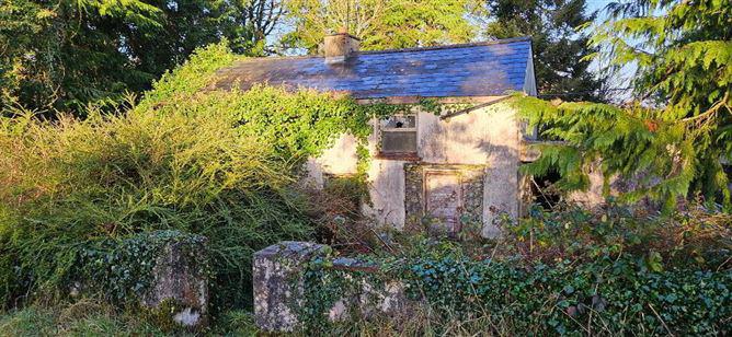 Finnor, Croghan, Co. Roscommon, F52F985, historical listing image 2
