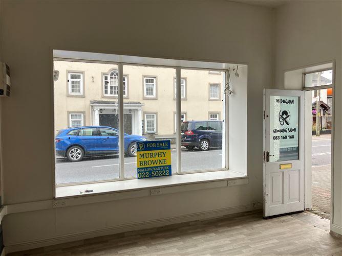 Autism Ireland, Mallow House Shortcastle Street, Co. Cork, historical listing image 3