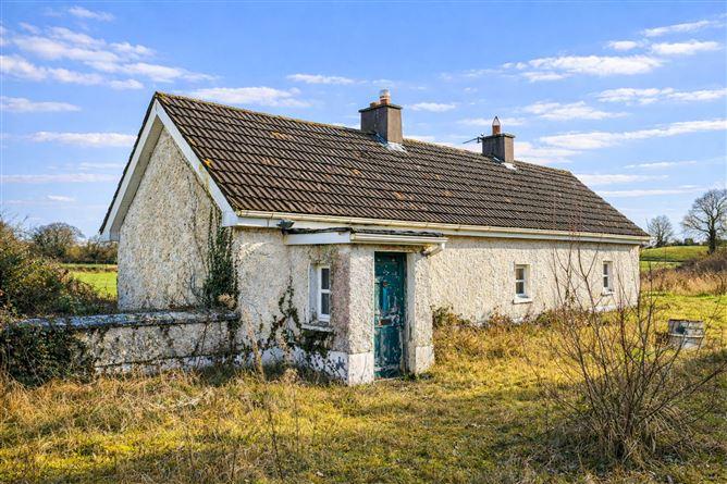 Lowertown, Kilbeggan, County Westmeath, historical listing image 1