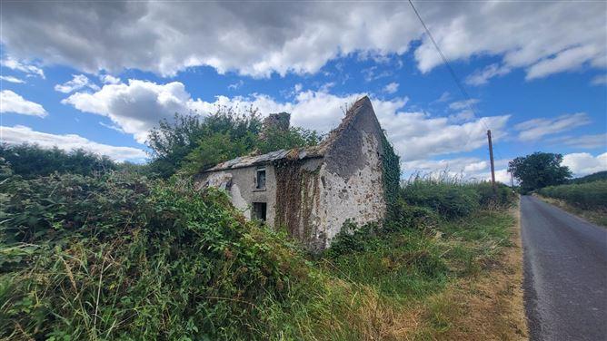 Killenaule, Co. Tipperary, Killenaule, Tipperary, historical listing image 3