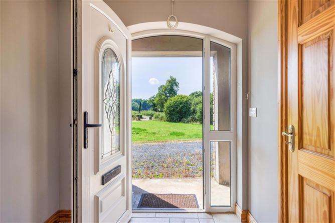Tonyshandry, Emyvale, Co. Monaghan, historical listing image 2