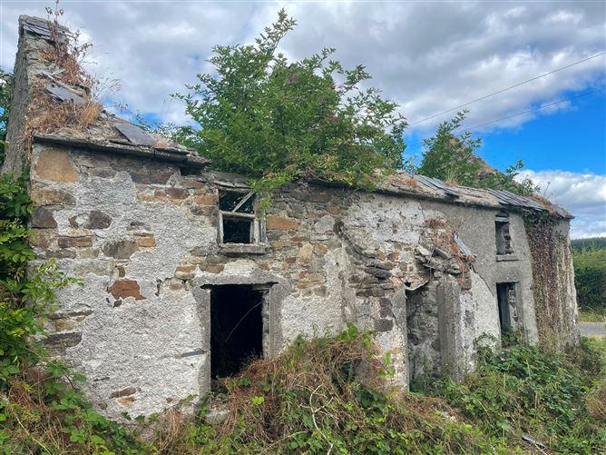 Killenaule, Co. Tipperary, Killenaule, Tipperary, historical listing image 6